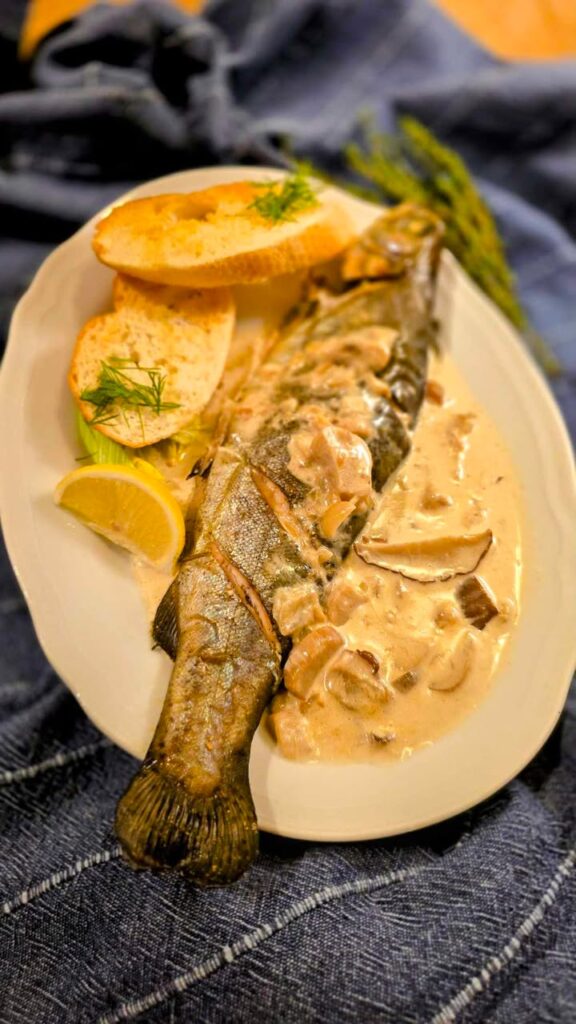 494325135_939502148146103_3074272246967741374_n